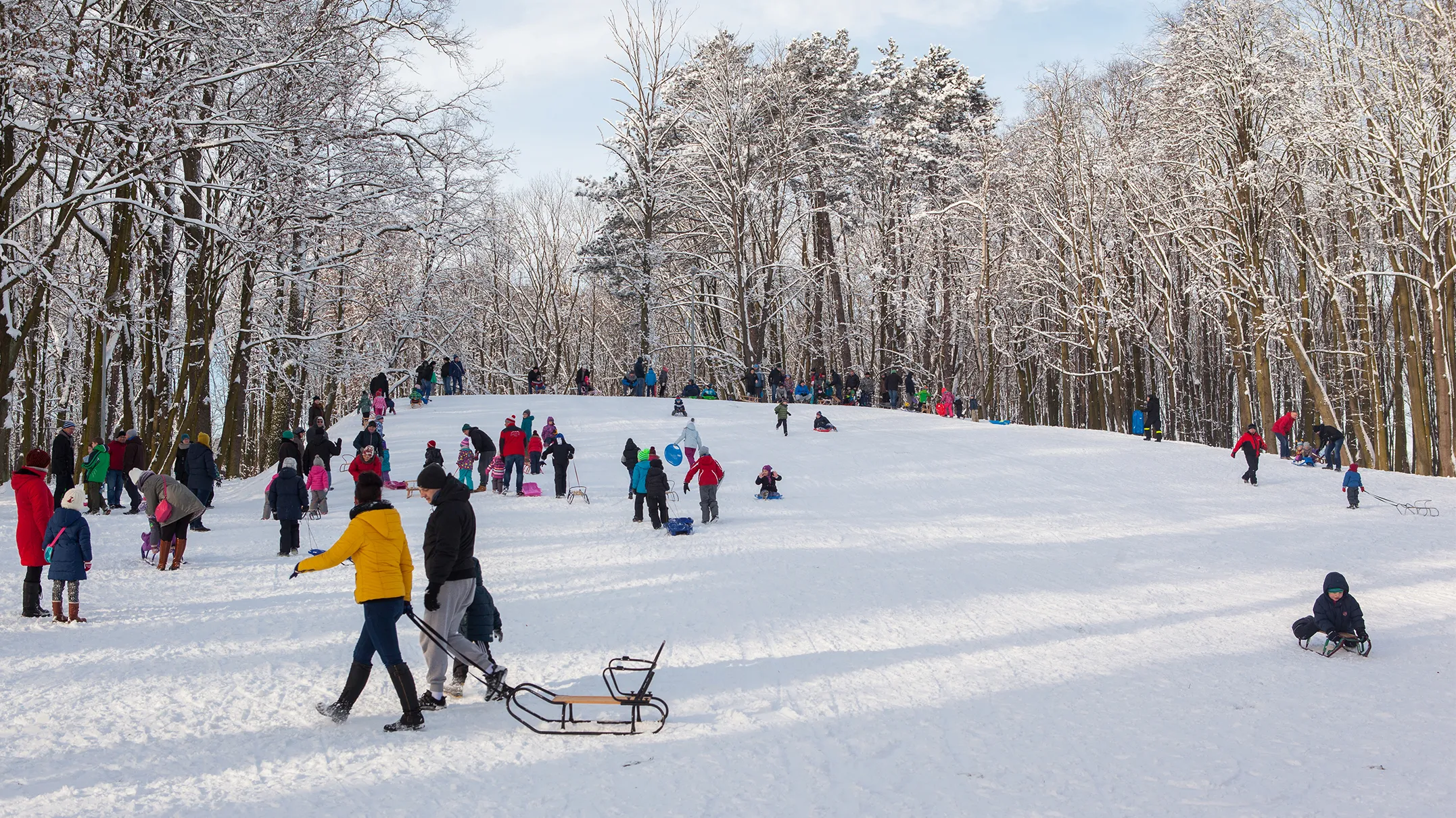 Ludzie zimą na zaśnieżonym stoku otoczonym drzewami oblepionymi śniegiem, część osób z sankami, dzieci zjeżdżają na sankach. Dzień, jasne niebo.
